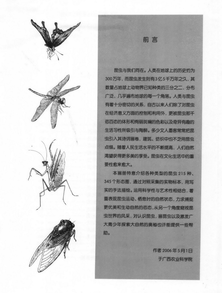【书籍】昆虫图谱